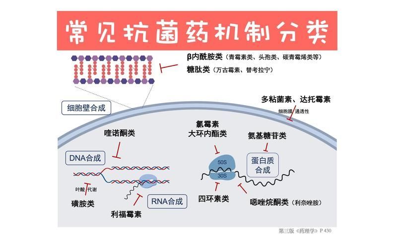 如何選擇適合的抗真菌藥物，抗真菌藥物列表信息整理完成,選擇適合外科清創的抗真菌藥物