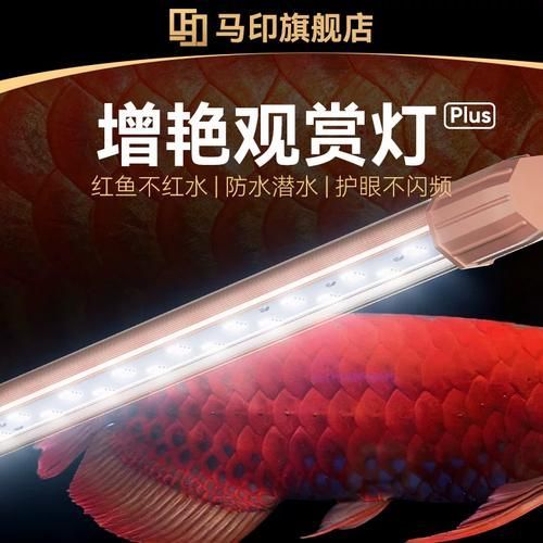 有哪些品牌的小夜燈適合龍魚？，龍魚燈品牌推薦，龍魚燈哪款好用性價比pk桃子燈