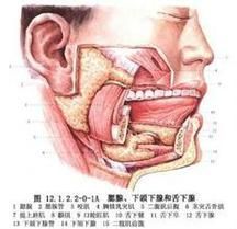 翻鰓手術(shù)風(fēng)險(xiǎn)大嗎，百度健康-去問診,