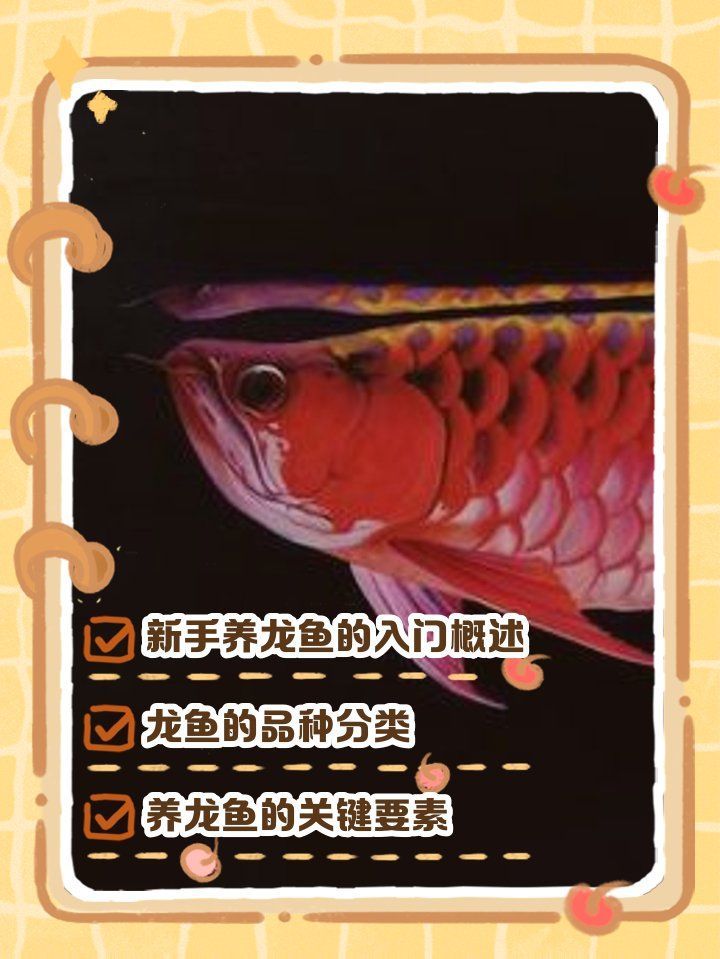 文安龍魚(yú)的養(yǎng)殖技術(shù)有哪些？，“文安龍魚(yú)”并非獨(dú)立品種，文安龍魚(yú)養(yǎng)殖技術(shù)要求