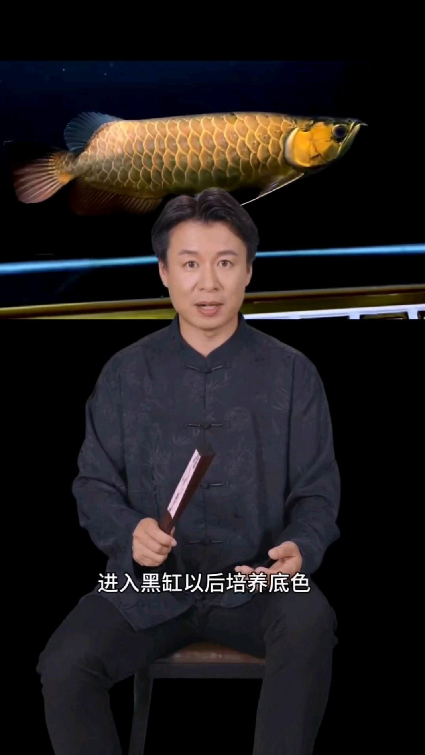 過背金龍疾病預防，過背金龍怎么養