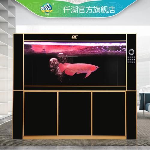 仟湖魚缸有哪些系列？ 仟湖魚缸有哪些系列？ 龍魚百科 第4張