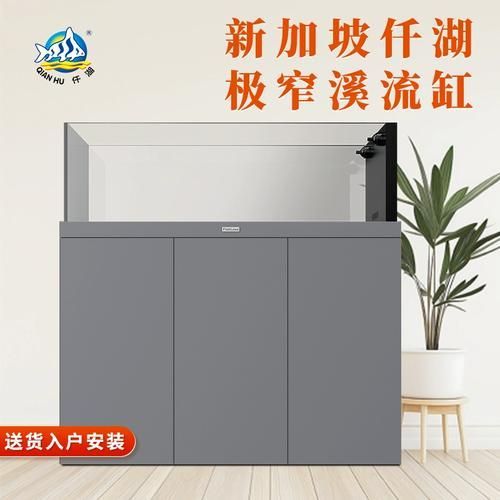 仟湖魚缸有哪些系列？ 仟湖魚缸有哪些系列？ 龍魚百科 第20張