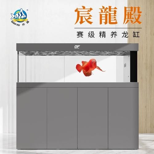 仟湖魚缸有哪些系列？ 仟湖魚缸有哪些系列？ 龍魚百科 第7張