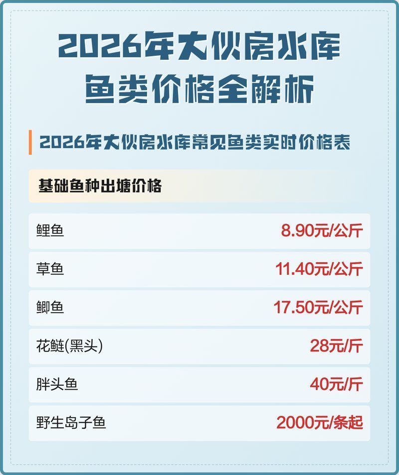 能否提供更多關于魚的價格信息，2026年主流淡水魚價格對比表