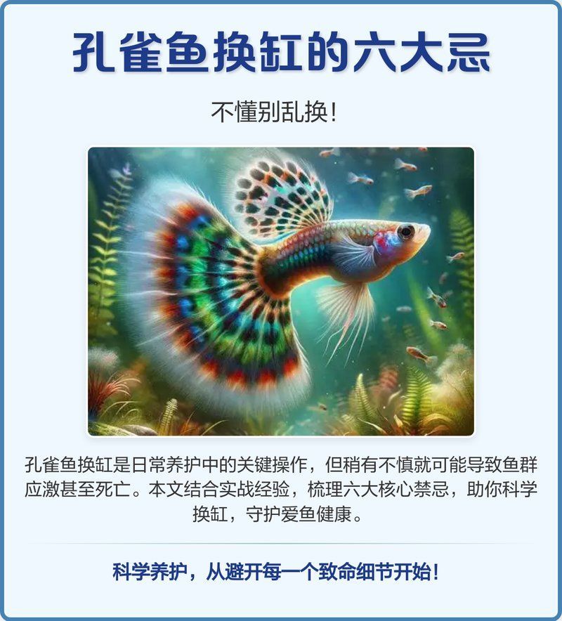 換缸后多久可以恢復(fù)正常喂食