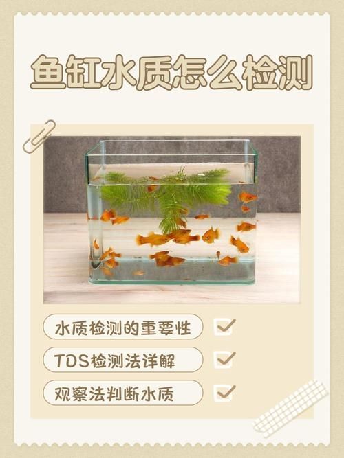 如何預防魚蒙眼病的復發，魚蒙眼病復發預防