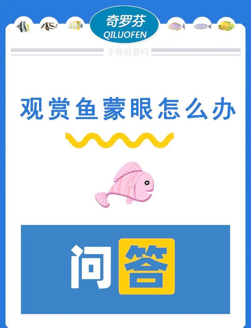紅龍魚蒙眼病多久會(huì)自愈，紅龍魚蒙眼病后多久會(huì)恢復(fù)