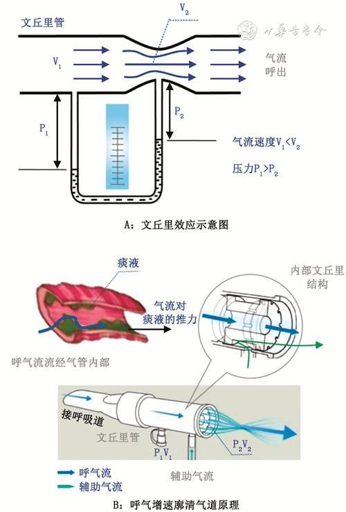 如何改善龍魚的水質和溶氧？，arxiv論文助手改善龍魚水質與溶氧的核心信息
