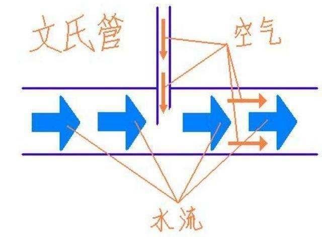 如何改善龍魚的水質和溶氧？，arxiv論文助手改善龍魚水質與溶氧的核心信息