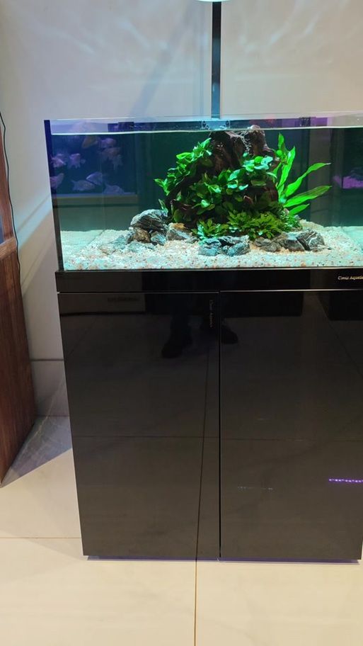 能詳細介紹一下可麗愛魚缸嗎，可麗愛水族旗艦店可麗愛魚缸水族旗艦店全套過濾系統