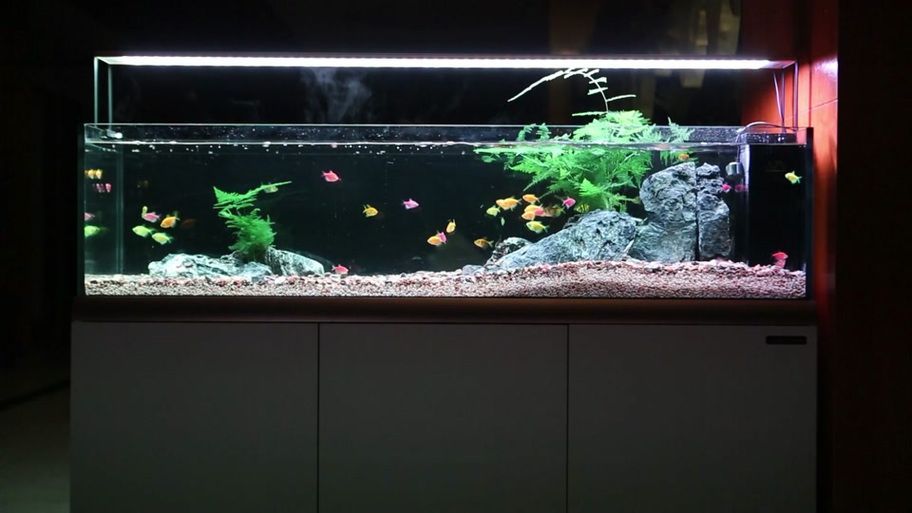 能詳細介紹一下可麗愛魚缸嗎，可麗愛水族旗艦店可麗愛魚缸水族旗艦店全套過濾系統