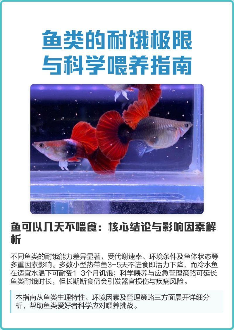 龍魚一個月不吃會餓死嗎，龍魚一個月不吃會不會餓死？