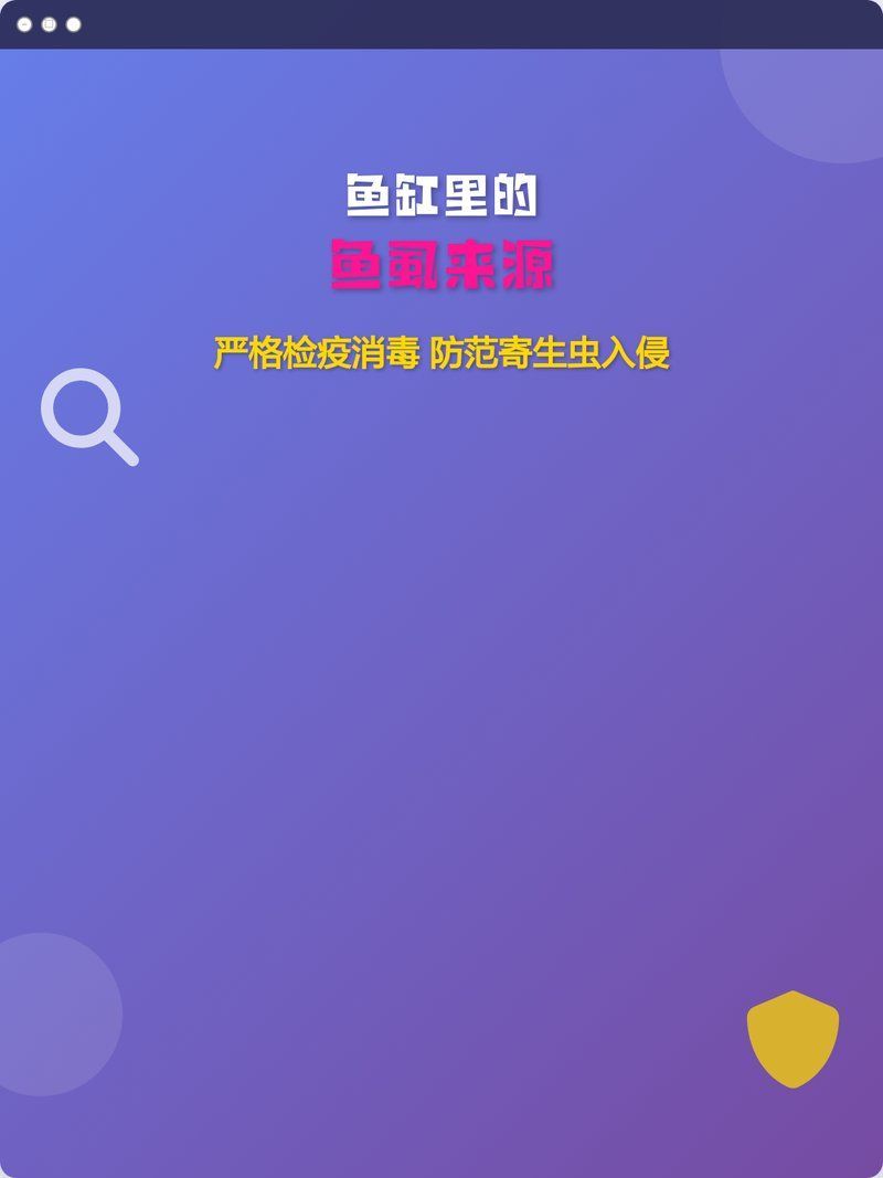 有哪些藥物可以有效預防魚虱感染，魚缸里的魚虱來源與防控全解析 有哪些藥物可以有效預防魚虱感染，魚缸里的魚虱來源與防控全解析 龍魚百科 第1張