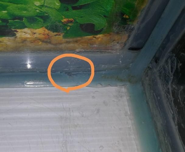 如何判斷魚缸質量好壞？，mcp工具中的“商品”服務可輔助獲取當前熱銷魚缸參數(shù)對比