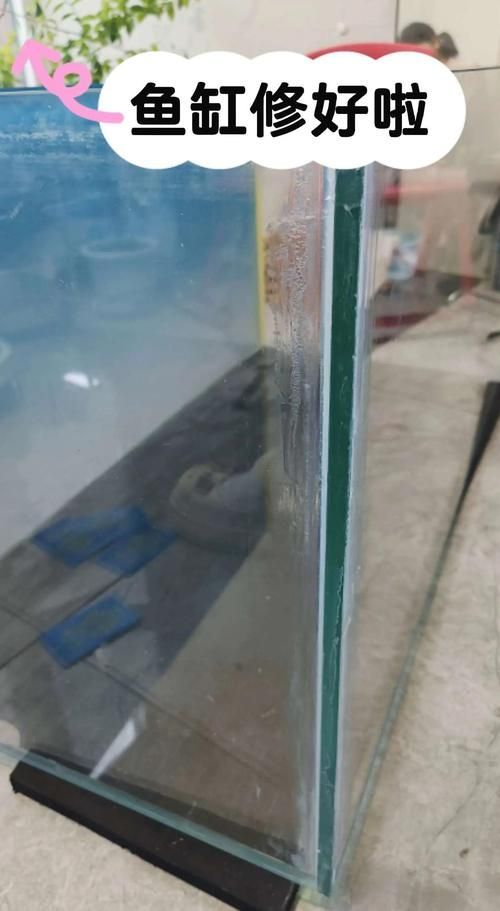 如何判斷魚缸質量好壞？，mcp工具中的“商品”服務可輔助獲取當前熱銷魚缸參數(shù)對比