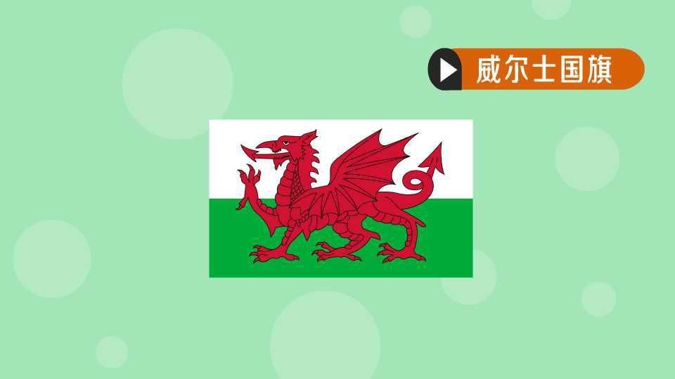能否提供更多關(guān)于紅龍旗的歷史背景信息
