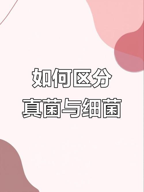 能否提供真菌和細(xì)菌的對(duì)比圖，如何區(qū)分真菌和細(xì)菌的感染癥狀 能否提供真菌和細(xì)菌的對(duì)比圖，如何區(qū)分真菌和細(xì)菌的感染癥狀 龍魚百科 第6張