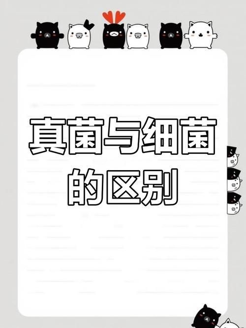 能否提供真菌和細(xì)菌的對(duì)比圖，如何區(qū)分真菌和細(xì)菌的感染癥狀 能否提供真菌和細(xì)菌的對(duì)比圖，如何區(qū)分真菌和細(xì)菌的感染癥狀 龍魚百科 第2張