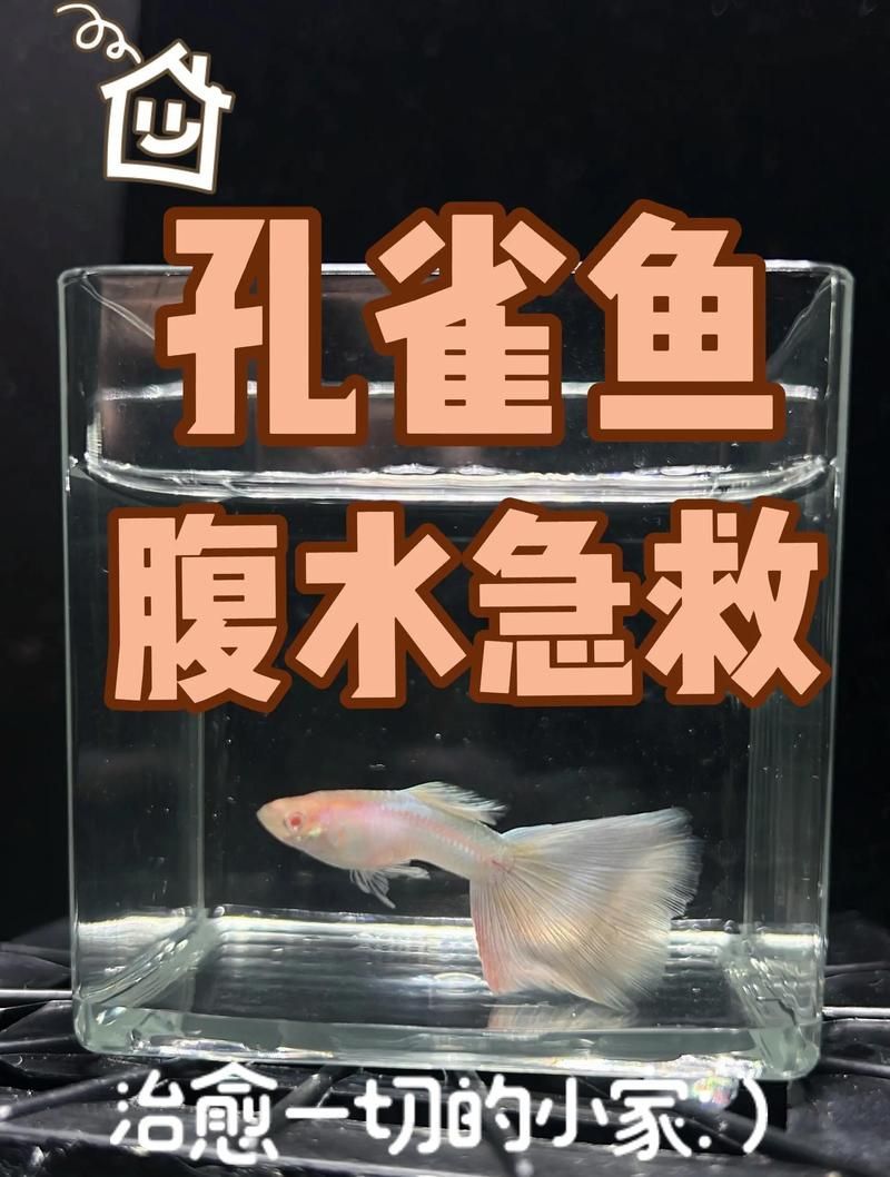 魚腹水了加鹽可以緩解嗎，魚腹水了加鹽多久能見效？