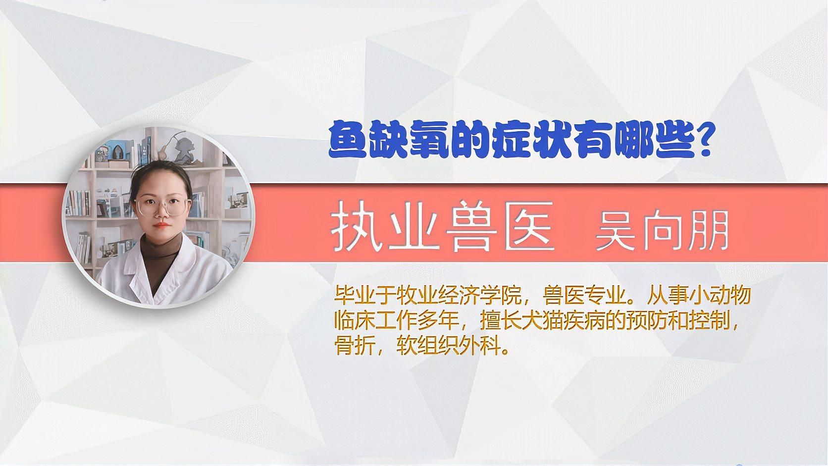 如何判斷魚缺氧了，kk養(yǎng)魚日記01:06魚缺氧怎么搶救寵小潤