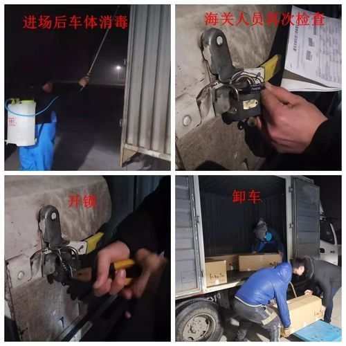 如何預防魚類疾病，mcp工具arxiv論文助手可輔助獲取最新科研文獻