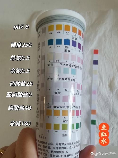 如何預防魚類疾病，mcp工具arxiv論文助手可輔助獲取最新科研文獻