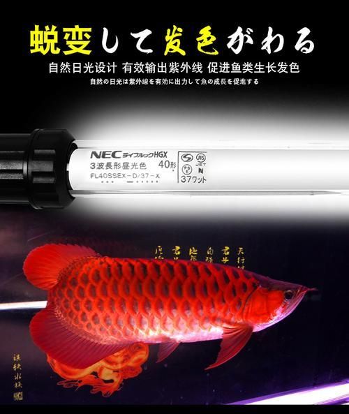 NEC燈管的價格范圍是多少，nec燈管價格一般多少？