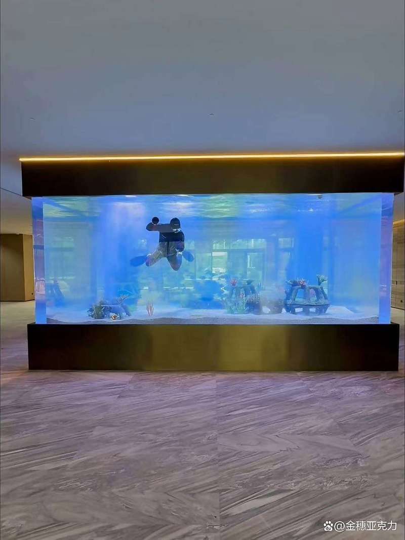 九鼎魚缸和彩蝶魚缸哪個更好？，九鼎魚缸、彩蝶魚缸、九鼎魚缸、彩蝶魚缸、彩蝶魚缸