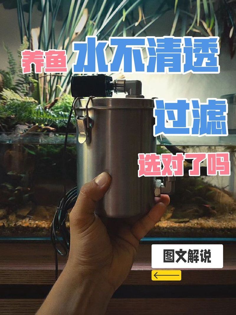 如何選擇適合的魚缸和過(guò)濾器，空夢(mèng)醒時(shí)，7種魚缸過(guò)濾器優(yōu)缺點(diǎn)對(duì)比