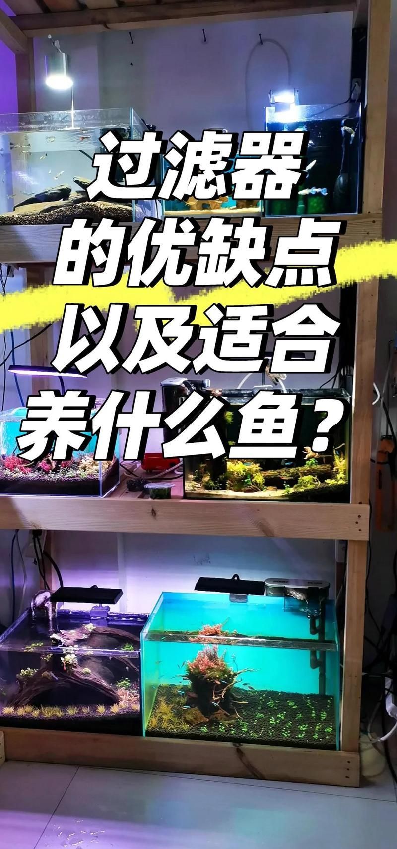 如何選擇適合的魚缸和過(guò)濾器，空夢(mèng)醒時(shí)，7種魚缸過(guò)濾器優(yōu)缺點(diǎn)對(duì)比