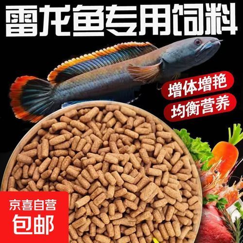 有哪些雷龍魚飼料推薦，如何判斷雷龍魚飼料的價格范圍是多少，有哪些品牌雷龍魚飼料值得推薦