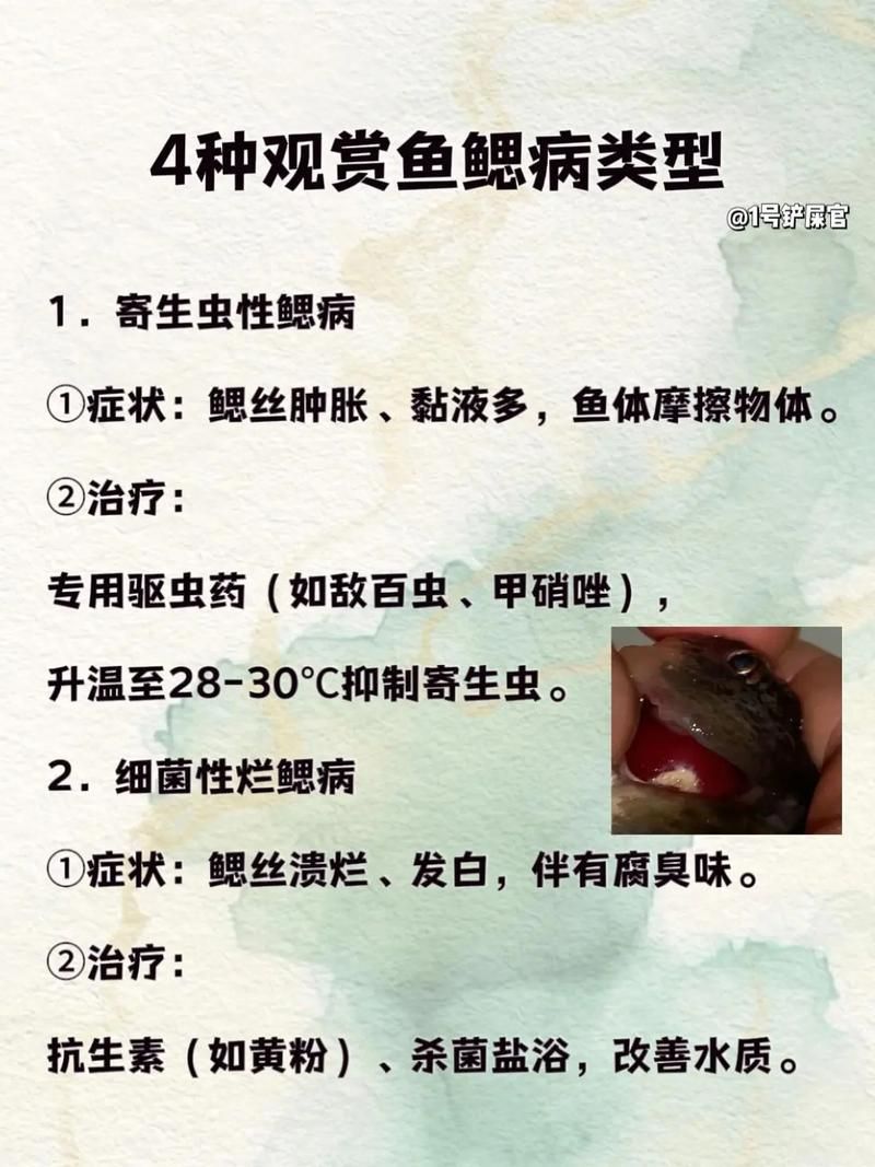 如何預防魚鰓病在不同魚種中的傳播，arxiv論文助手