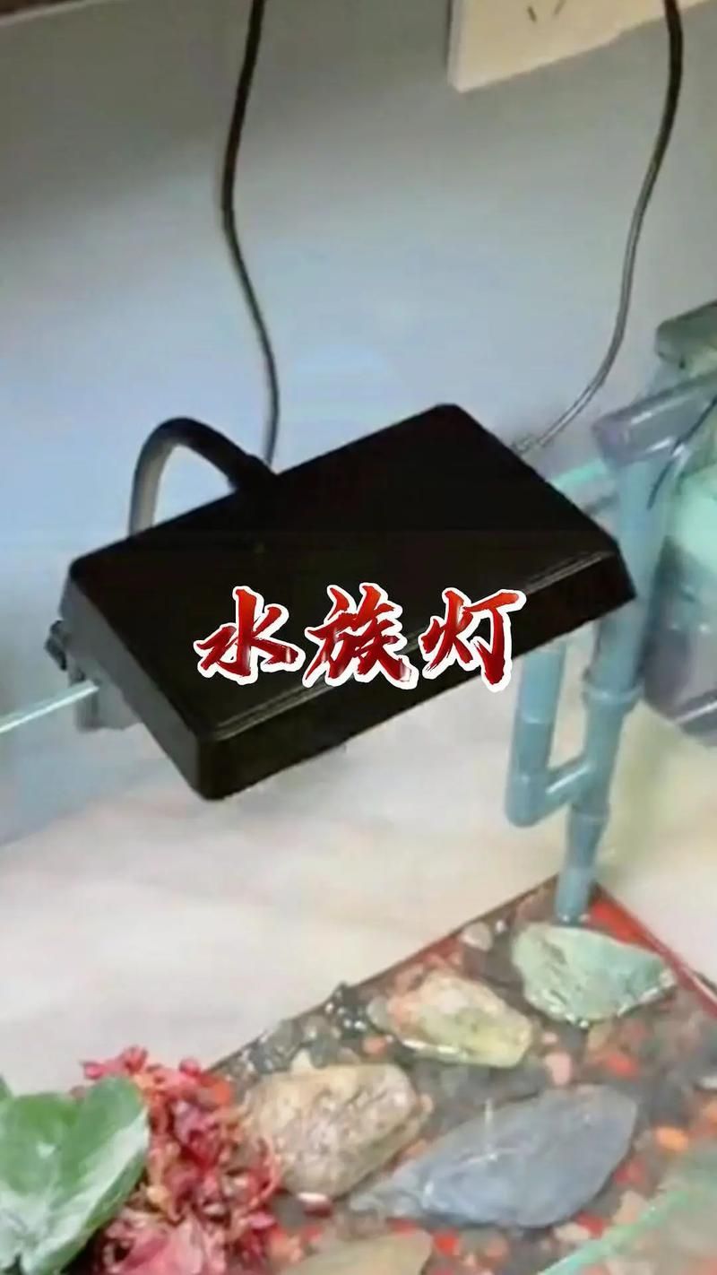 哪種類型的魚缸燈光最好，新手養魚，魚缸燈怎么選