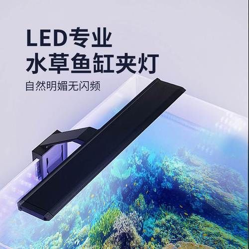 哪種類型的魚缸燈光最好，新手養魚，魚缸燈怎么選