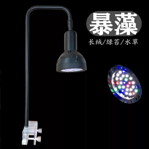 哪種類型的魚缸燈光最好，新手養魚，魚缸燈怎么選