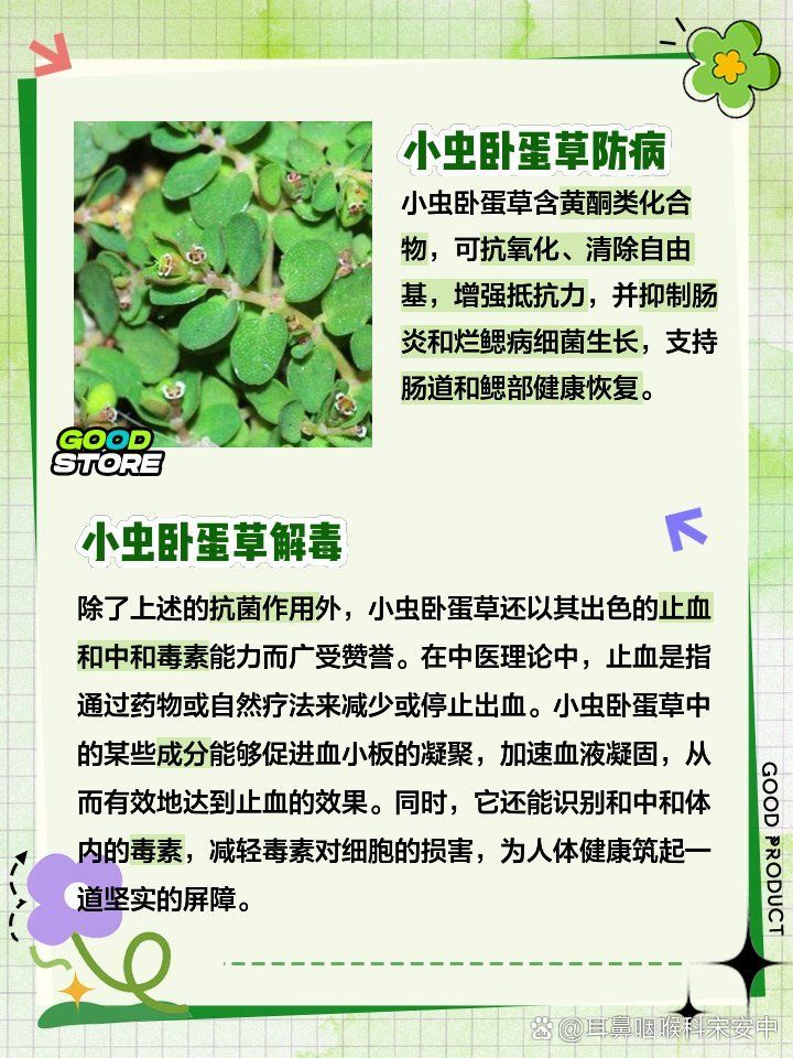 有哪些中草藥可以治療爛鰓病，中草藥治療公斤魚爛鰓病的方法 有哪些中草藥可以治療爛鰓病，中草藥治療公斤魚爛鰓病的方法 龍魚百科 第1張