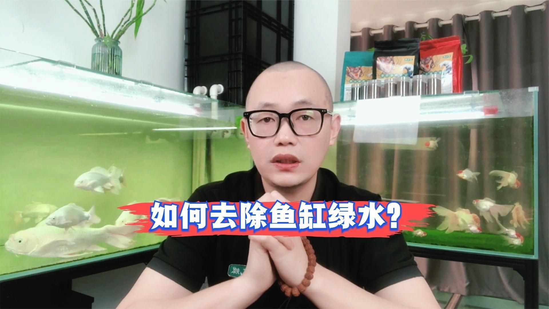 魚缸水發綠后如何補救，魚缸水發綠后如何補救，5個方法教你輕松解決銳目視界
