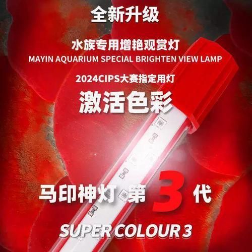 馬印增艷神燈PLUS系列有哪些型號(hào)，馬印增艷神燈plus怎么樣？