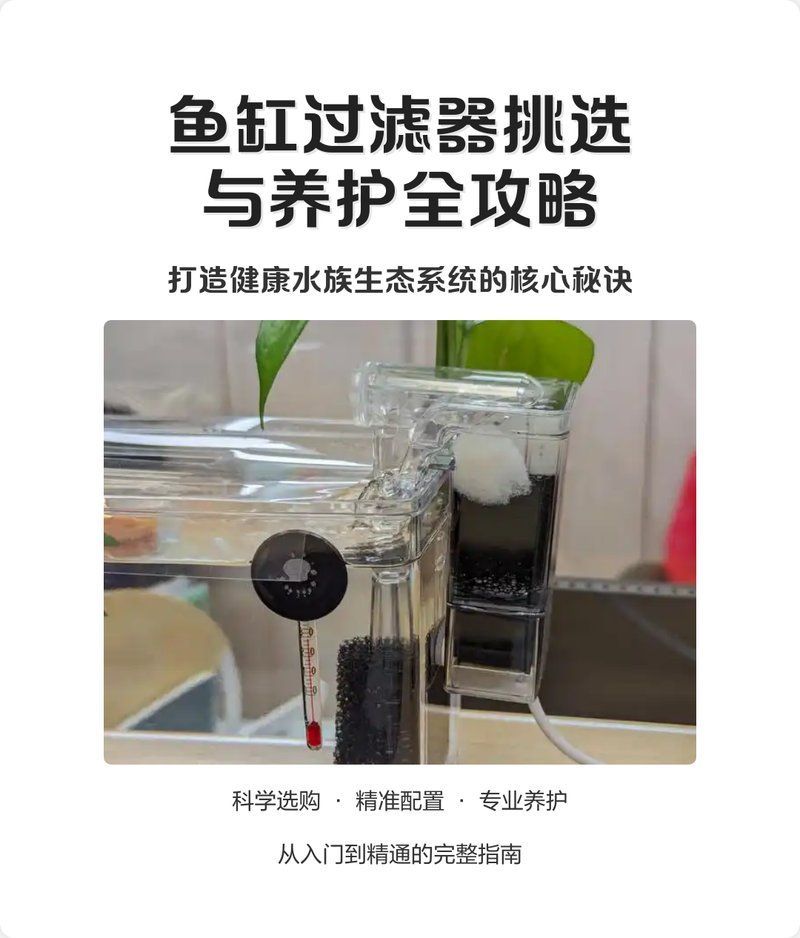 推薦幾款適合龍魚缸的過濾系統，幾款適合龍魚缸的過濾系統推薦