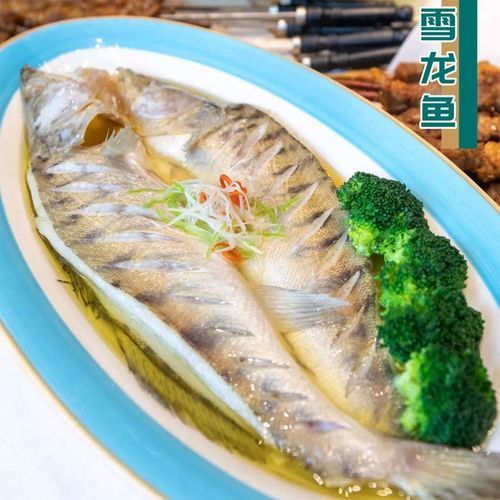 鮮美品牌雪龍魚的價格是多少，鮮美品牌雪龍魚價格是多少鮮美品牌雪龍魚價格是多少