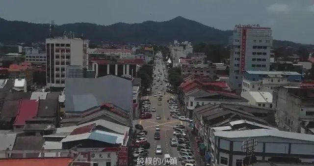 馬來西亞龍魚養殖技術有哪些進步，馬來西亞龍魚養殖技術有哪些國際影響