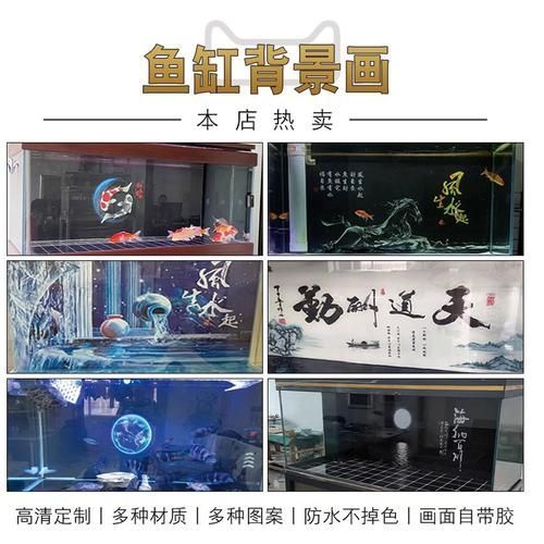 有哪些方法可以預防龍魚病，arxiv論文助手詳解1000字+配圖
