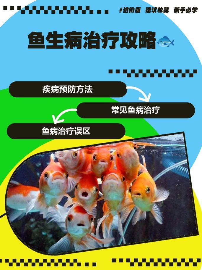 給我一些預防龍魚腸胃疾病的圖片，如何預防龍魚腸胃疾病
