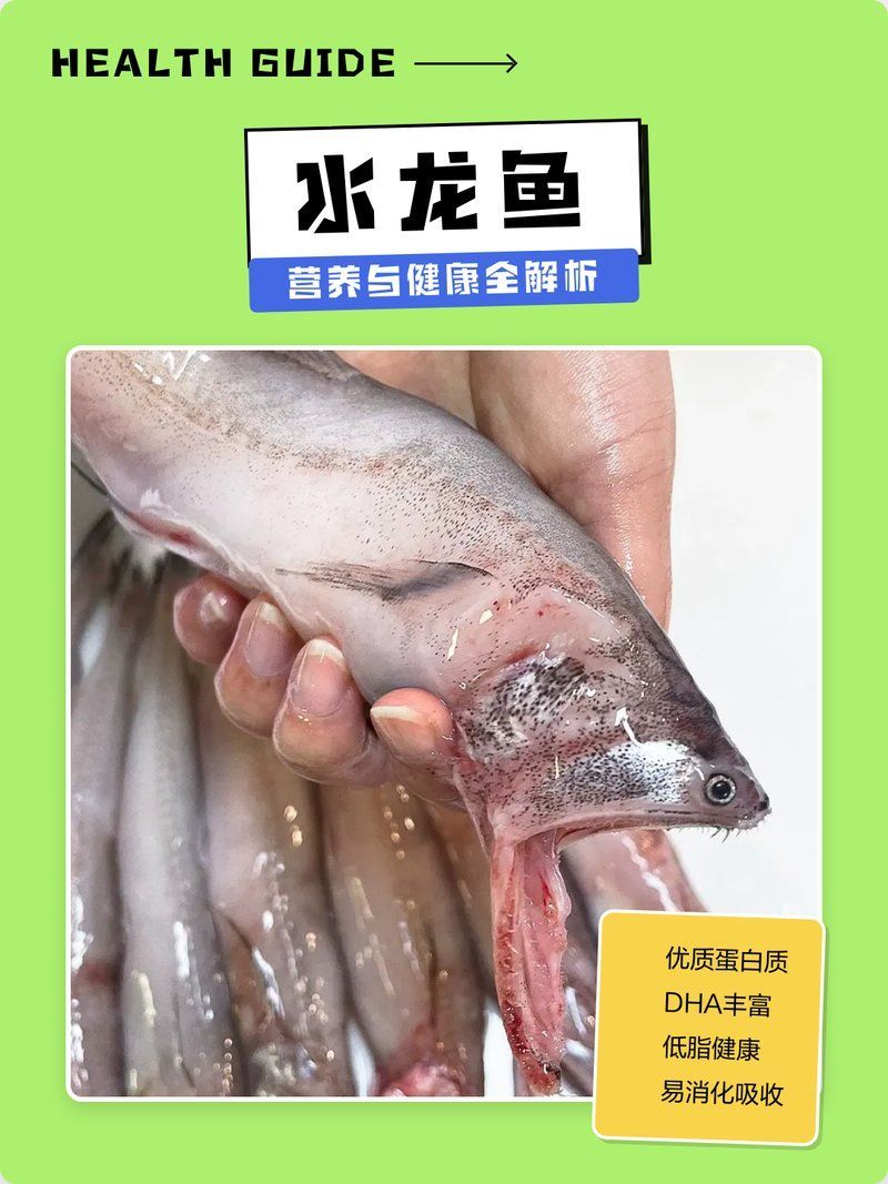 再給我?guī)追N水龍魚(yú)的健康做法，小魚(yú)兒天地，水龍魚(yú)的營(yíng)養(yǎng)與健康益處全解析