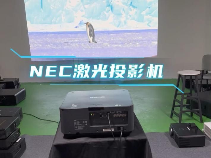 馬印、NEC、速倍妥哪個(gè)品牌最好，印、nec、速倍妥哪個(gè)品牌最好？ 馬印、NEC、速倍妥哪個(gè)品牌最好，印、nec、速倍妥哪個(gè)品牌最好？ 龍魚百科 第2張