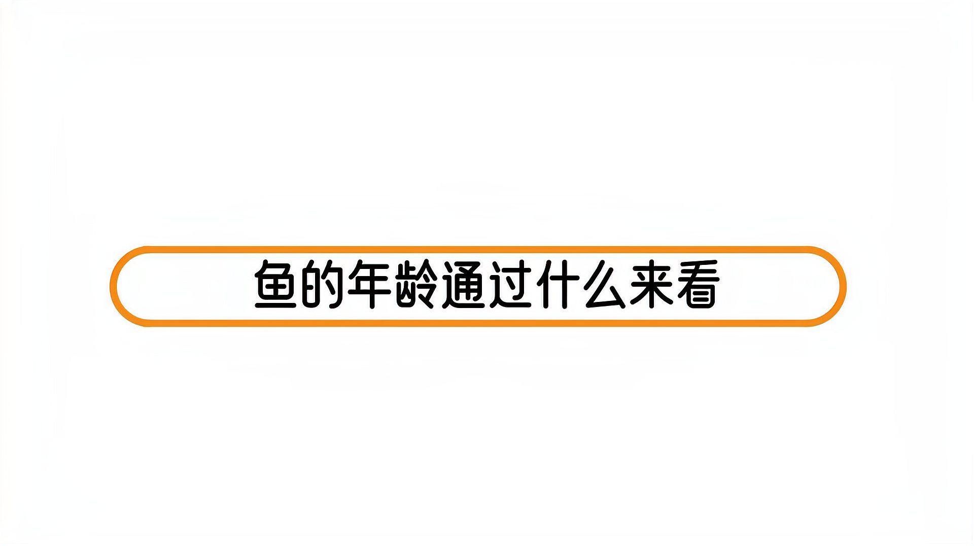 如何判斷東方小火龍魚(yú)的年齡，東方小火龍魚(yú)的年齡如何判斷東方小火龍魚(yú)的年齡和年齡
