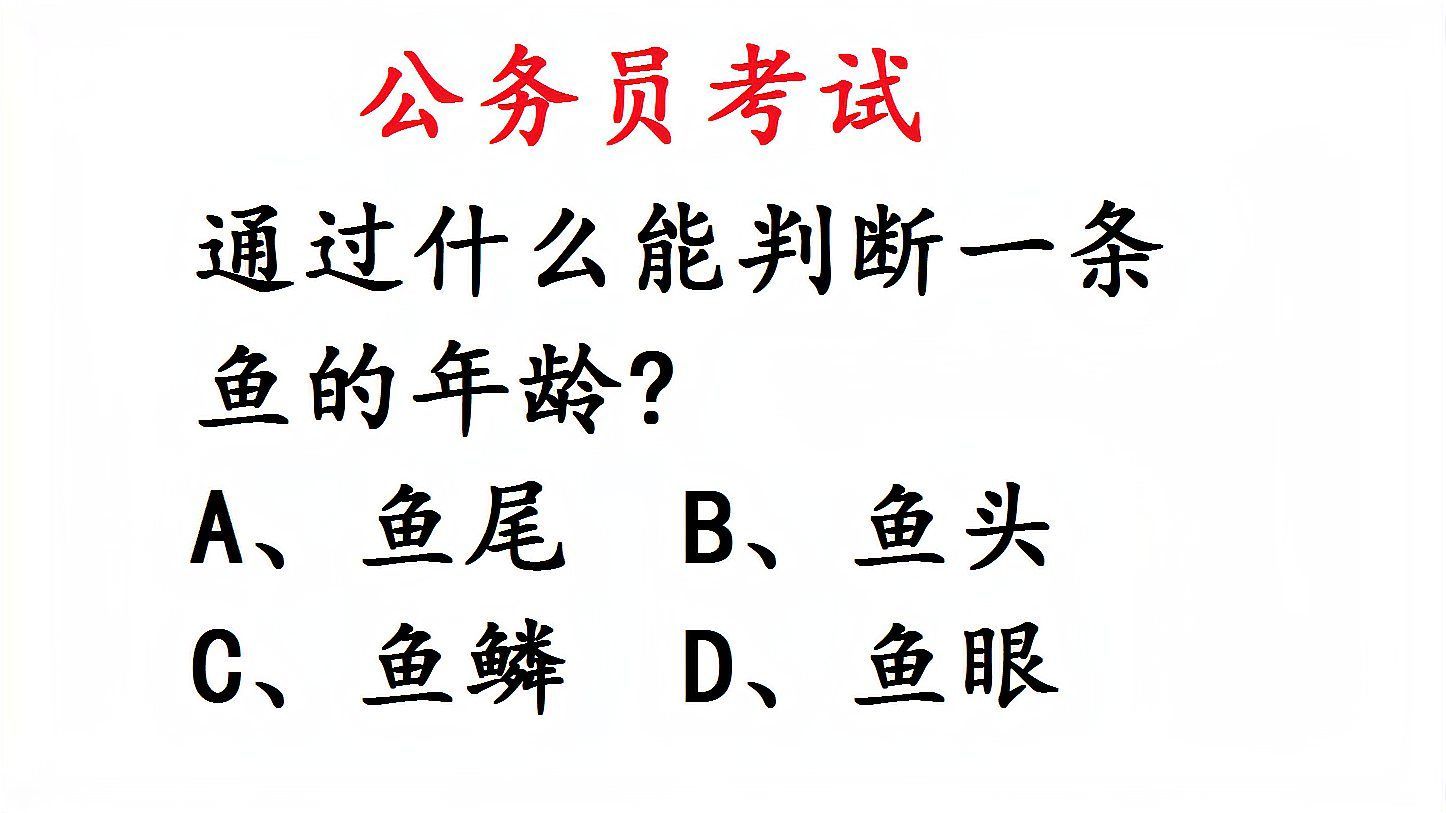 如何判斷東方小火龍魚(yú)的年齡，東方小火龍魚(yú)的年齡如何判斷東方小火龍魚(yú)的年齡和年齡