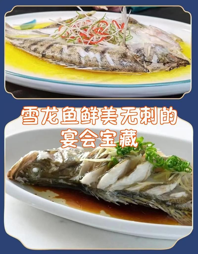 <strong><mark>天山</mark></strong>雪龍魚有哪些獨(dú)特特征，<strong><mark>天山</mark></strong>雪龍魚有哪些獨(dú)特特征<strong><mark>天山</mark></strong>雪龍魚家常菜譜
