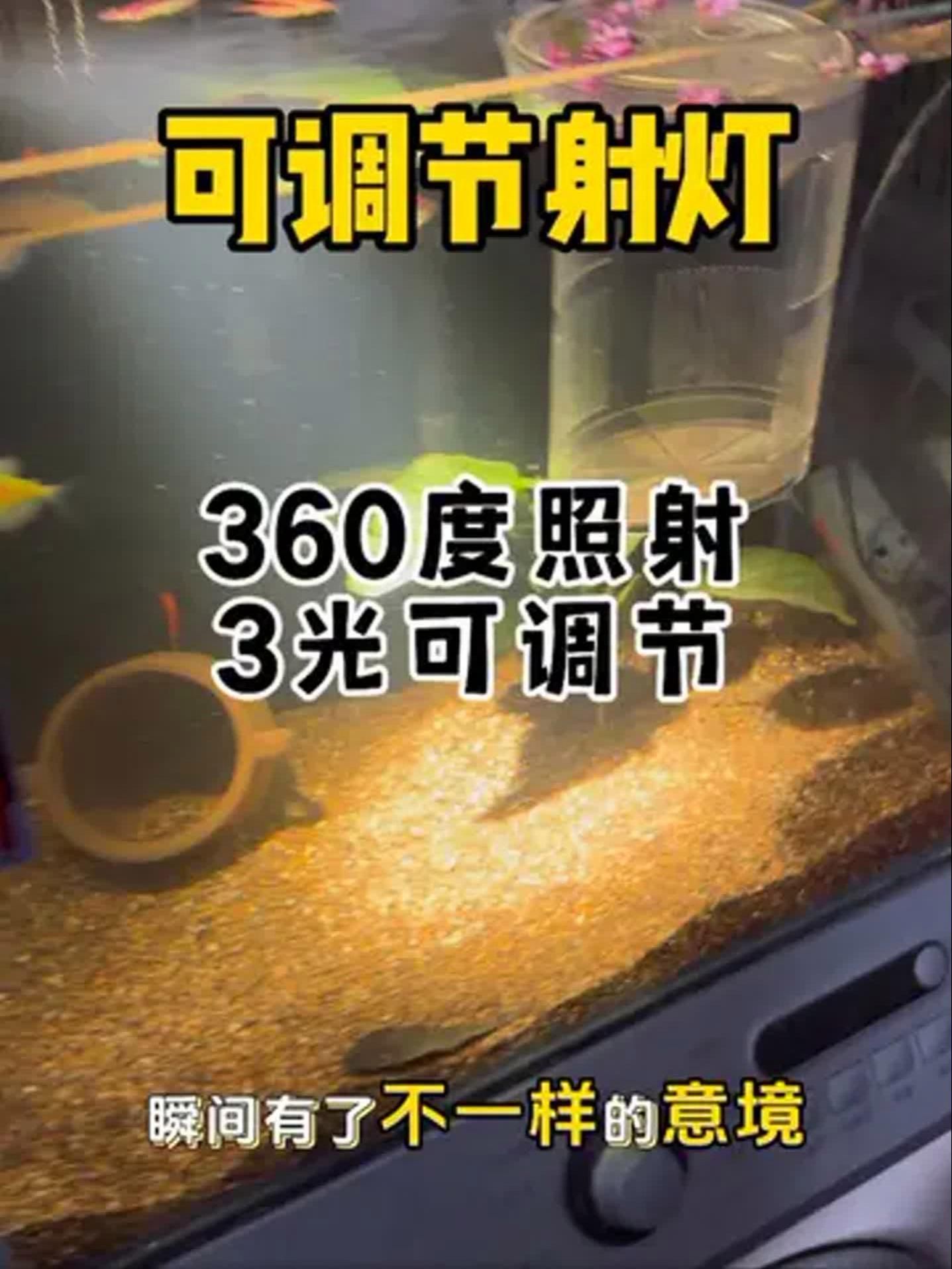 給我推薦幾款性價比高的魚缸三色燈，幾款性價比高的魚缸三色燈推薦 給我推薦幾款性價比高的魚缸三色燈，幾款性價比高的魚缸三色燈推薦 龍魚百科 第4張